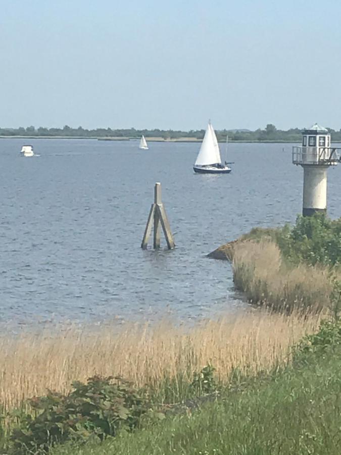 De Lauwersmeer Vogel Mit Eingezaeuntem Garten Anjum Экстерьер фото